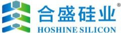 演示 Logo