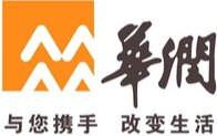 演示 Logo